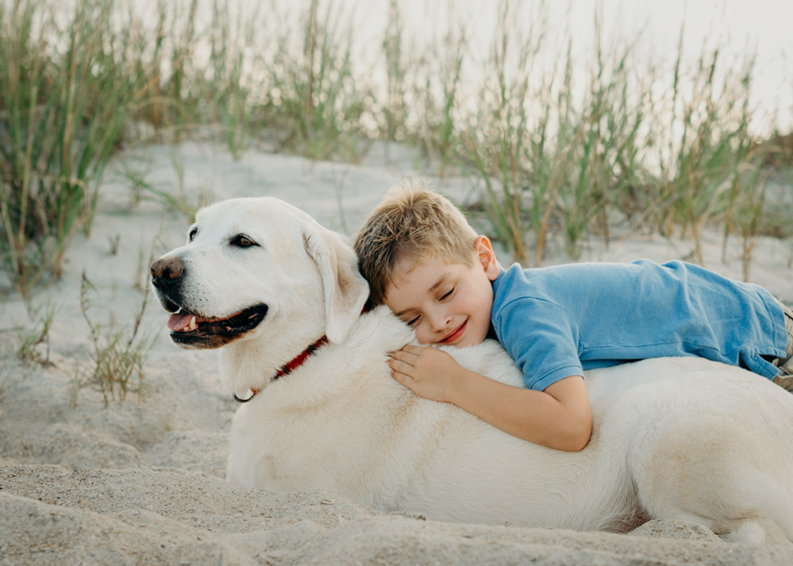 Little-Boy-Hugging-Dog-On-Beach